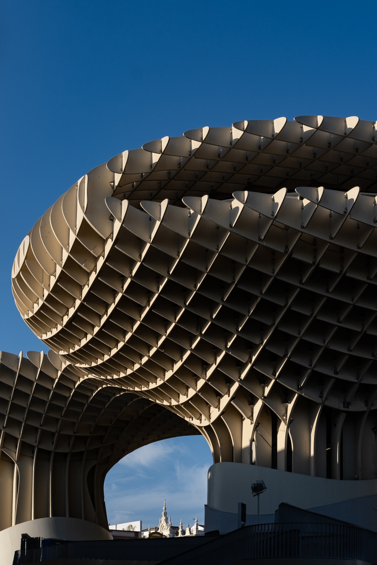 Giant mushrooms and honeycombs of wooden structures