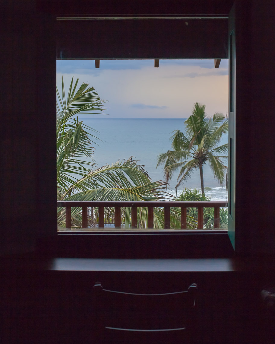 View of ocean and palm trees through a silhouetted window in a hotel room